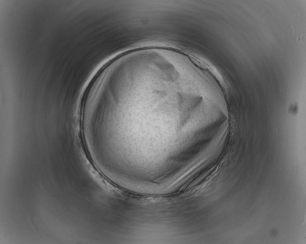 X0000093731148200711060955