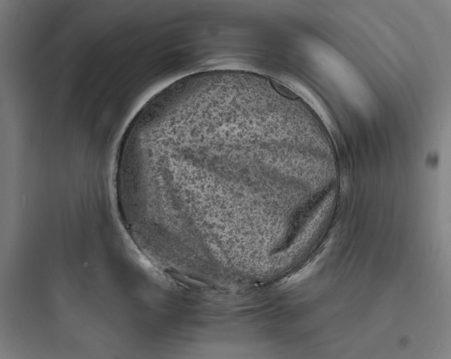 X0000093731149200711060955