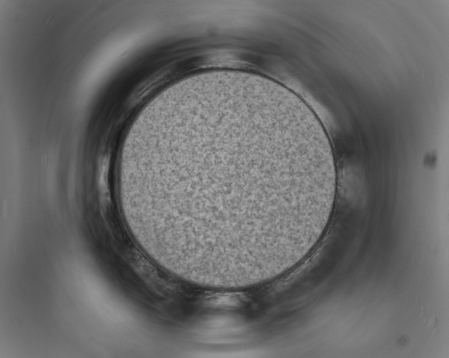 X0000093731150200711060955