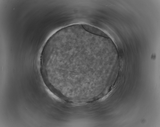 X0000093731151200711060955