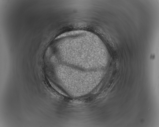 X0000093731153200711060954