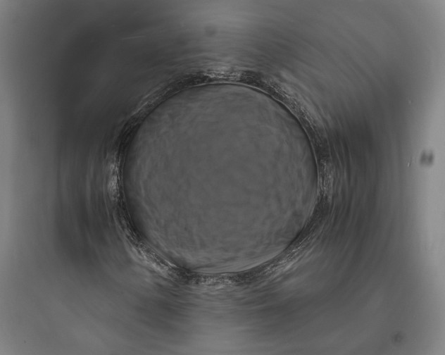 X0000093731154200711060954