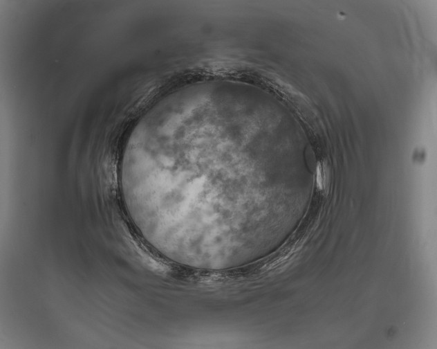 X0000093731155200711060954