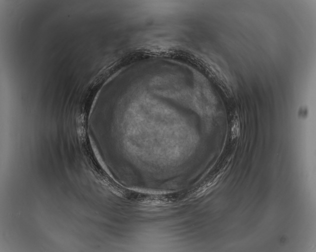 X0000093731156200711060954