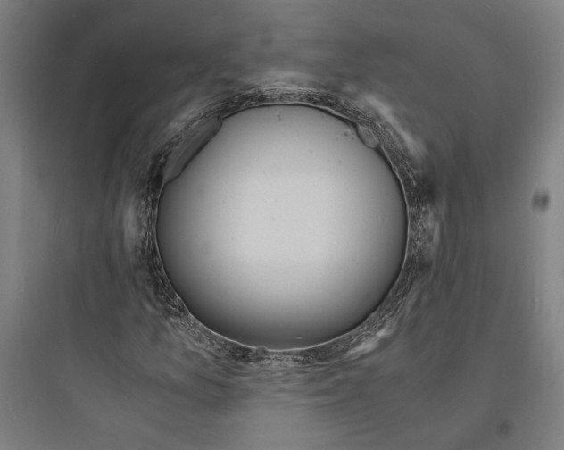 X0000093731157200711060954