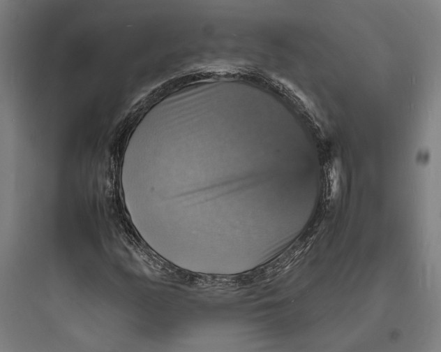 X0000093731158200711060954