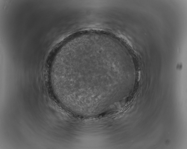 X0000093731159200711060954