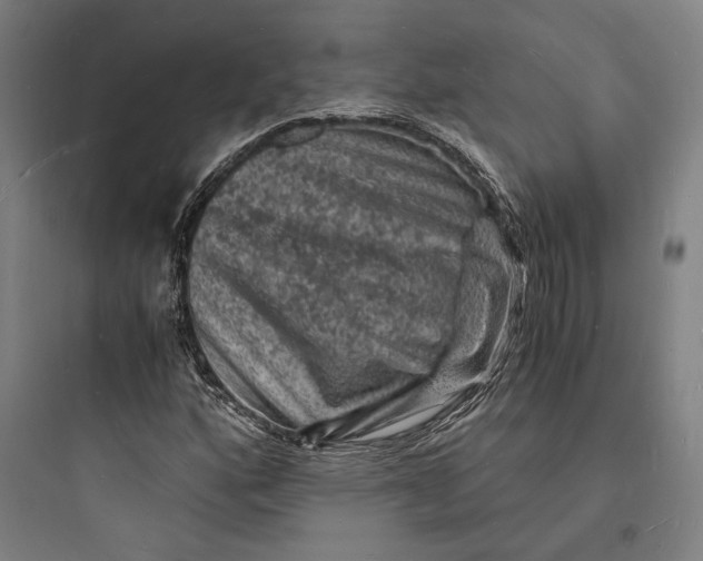 X0000093731160200711060954