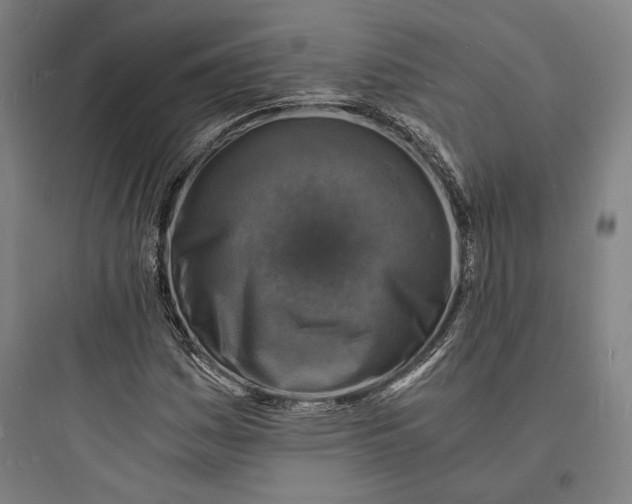 X0000093731161200711060954