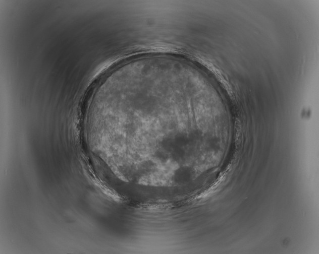 X0000093731163200711060954