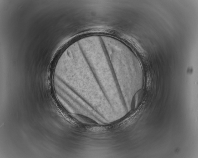 X0000093731164200711060954