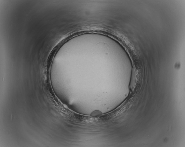 X0000093731165200711060954