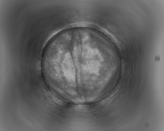 X0000093731166200711060954