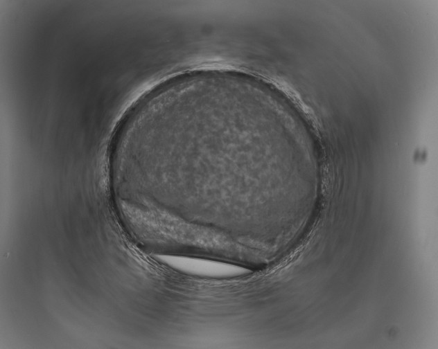 X0000093731167200711060954