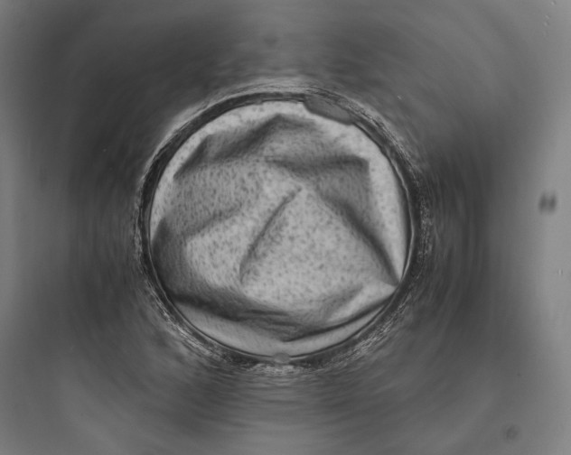 X0000093731168200711060954