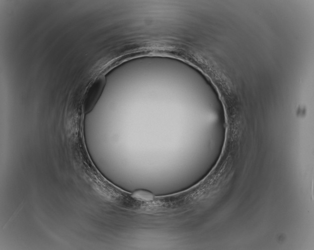 X0000093731169200711060954