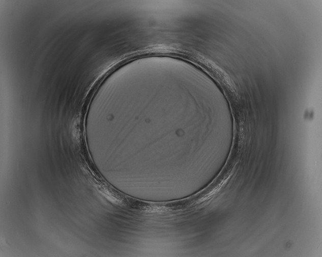 X0000093731170200711060954