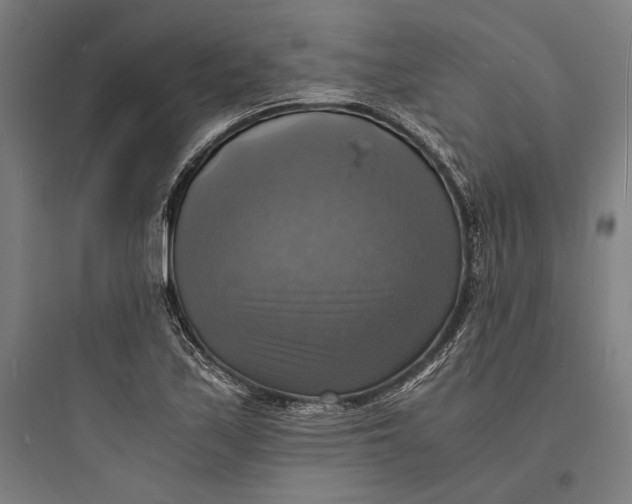 X0000093731171200711060954