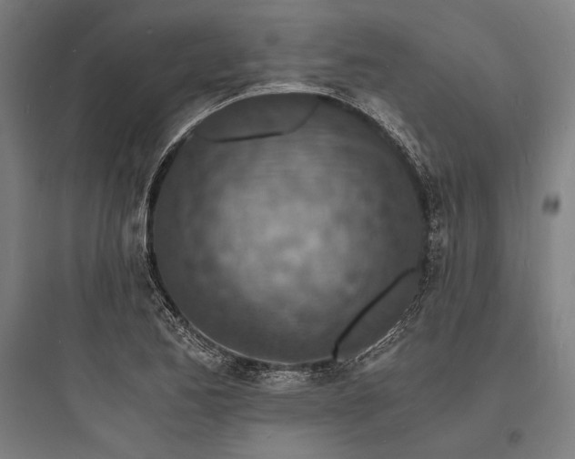 X0000093731173200711060954