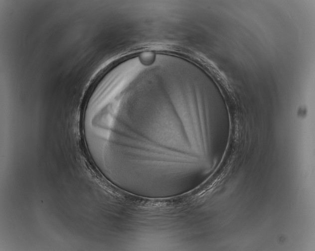 X0000093731174200711060954