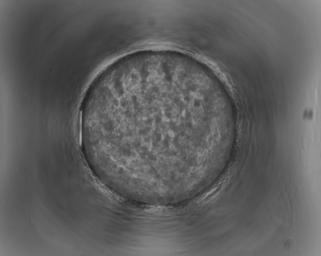 X0000093731175200711060954