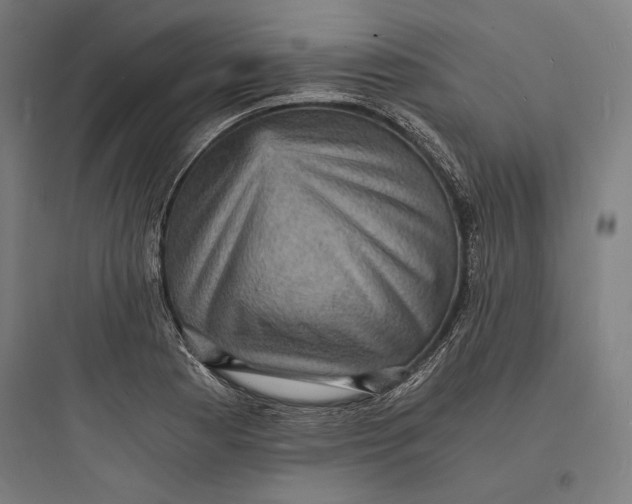 X0000093731177200711060954