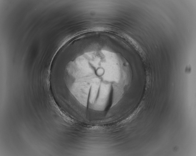 X0000093731178200711060954