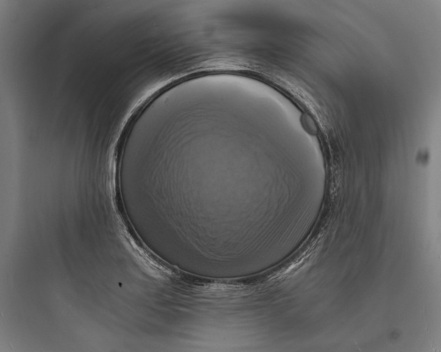 X0000093731179200711060954