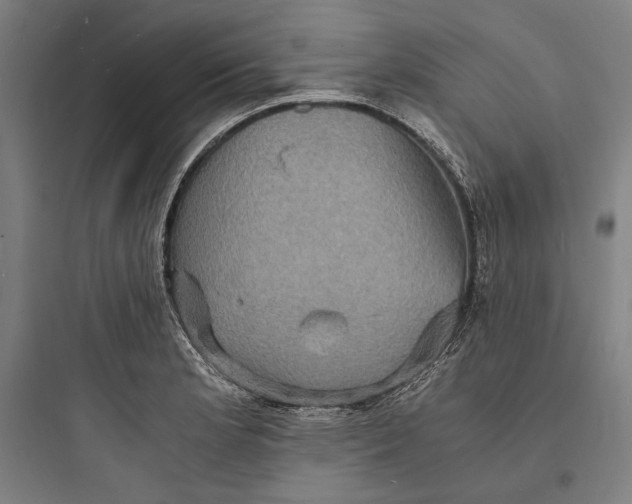 X0000093731181200711060954