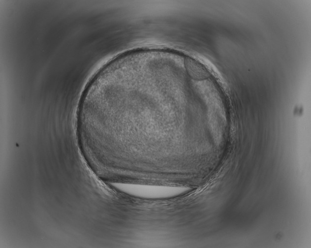 X0000093731183200711060954