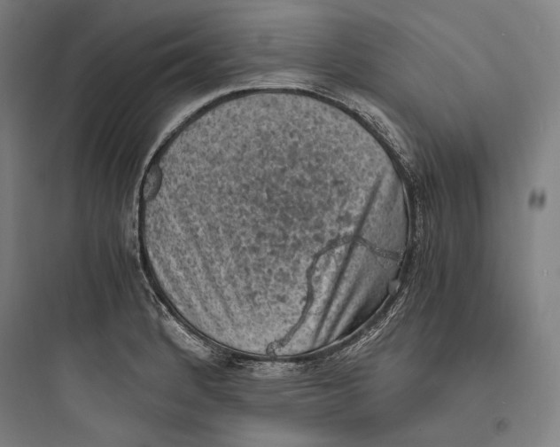 X0000093731184200711060954