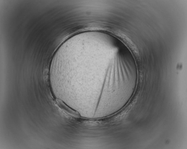 X0000093731185200711060954