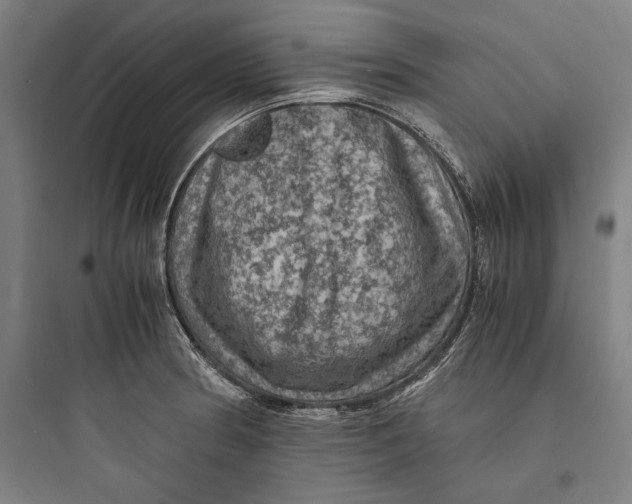 X0000093731186200711060953