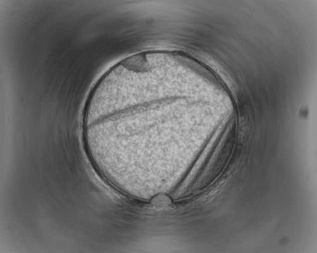 X0000093731187200711060953