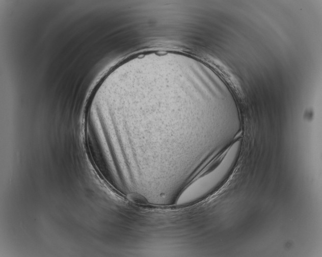 X0000093731188200711060953