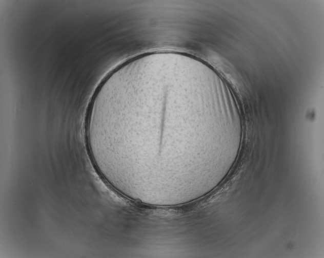 X0000093731189200711060953