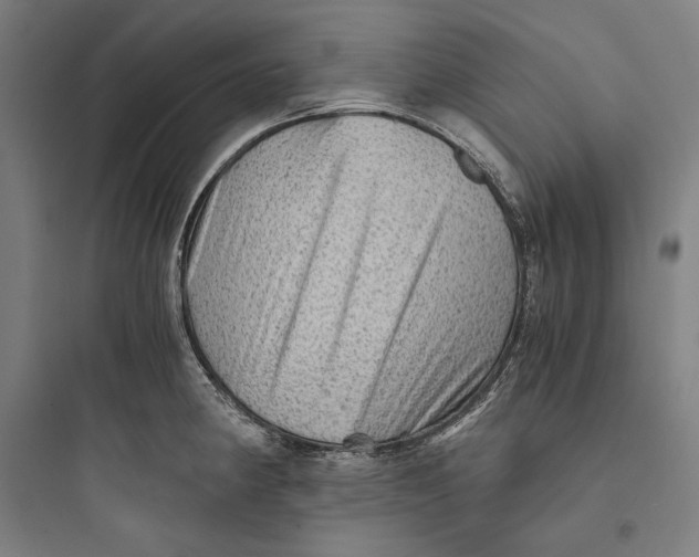 X0000093731190200711060953