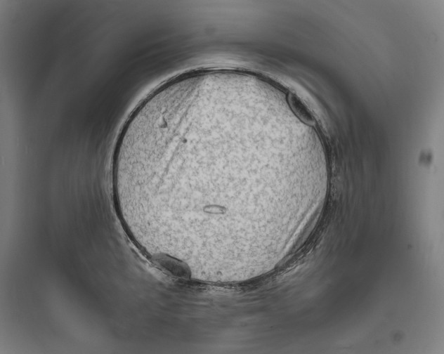 X0000093731191200711060953