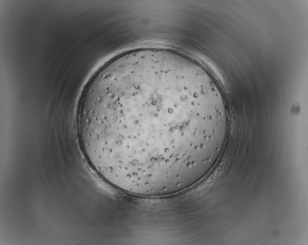 X0000093731192200711060953