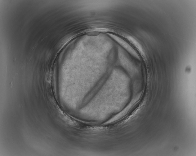 X0000093731193200711060953