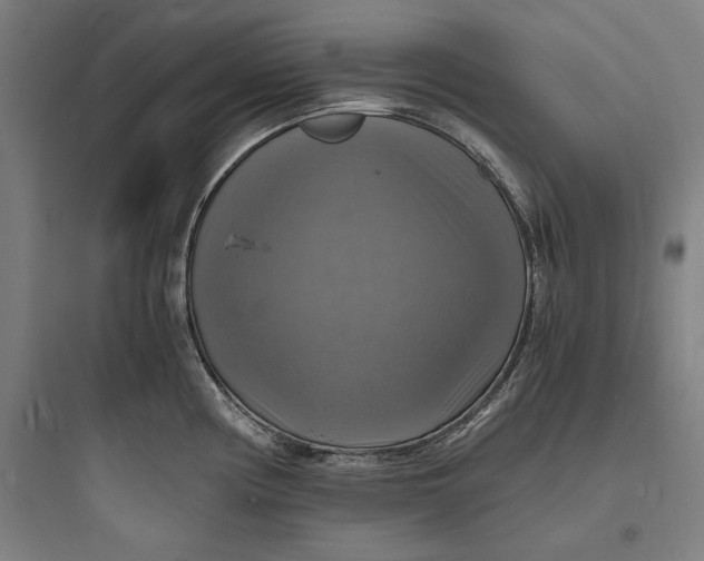 X0000093731194200711060953