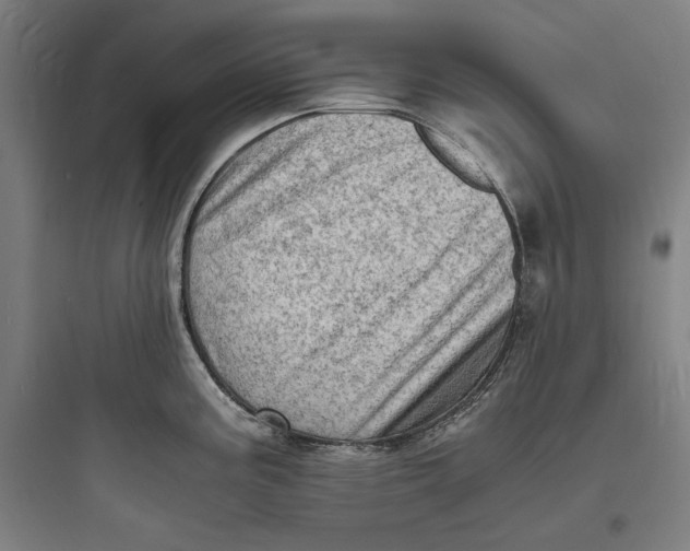 X0000093731195200711060953