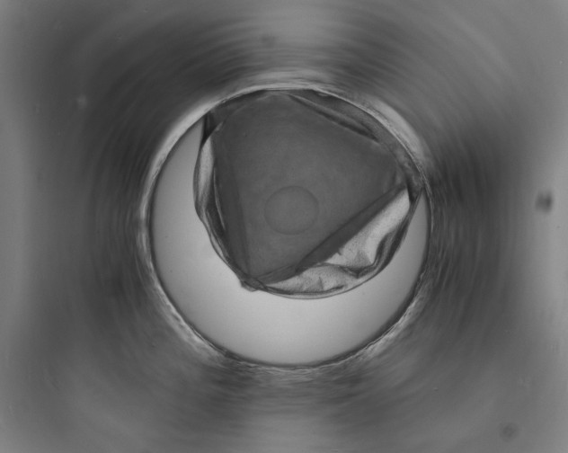 X0000093731196200711060953