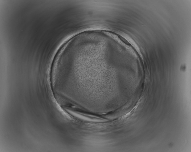 X0000093731197200711060953