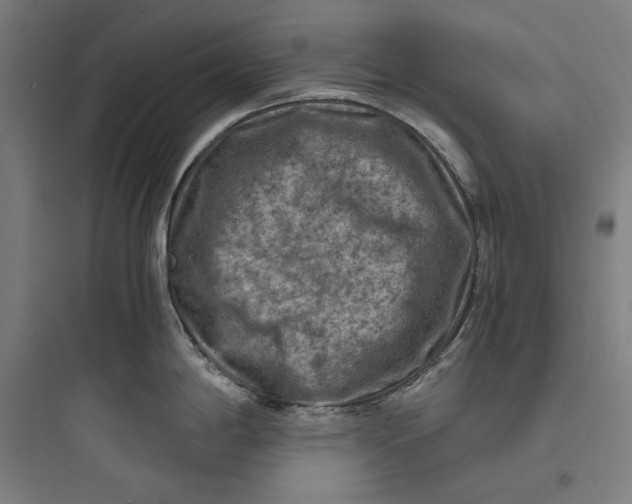 X0000093731198200711060953