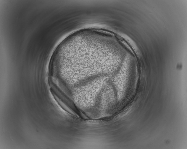 X0000093731199200711060953