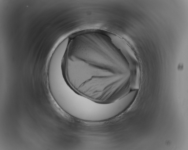 X0000093731200200711060953