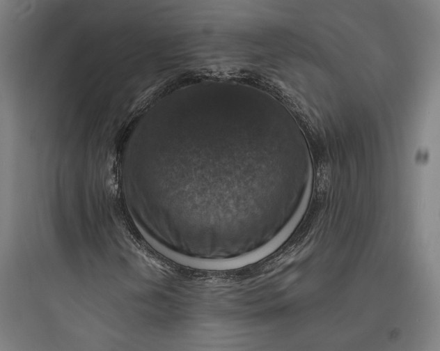 X0000093731202200711060953