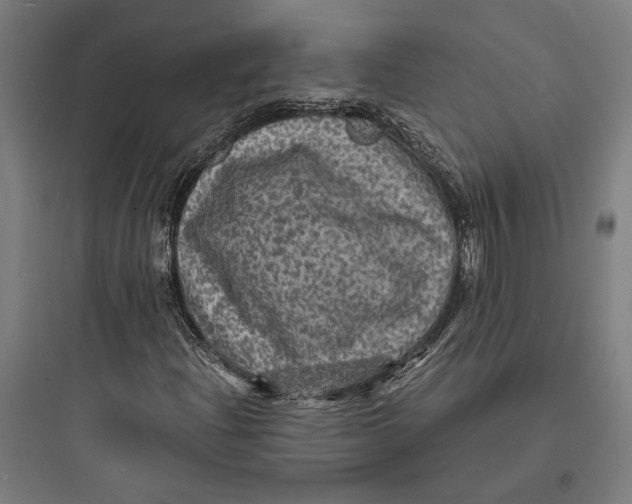 X0000093731204200711060953