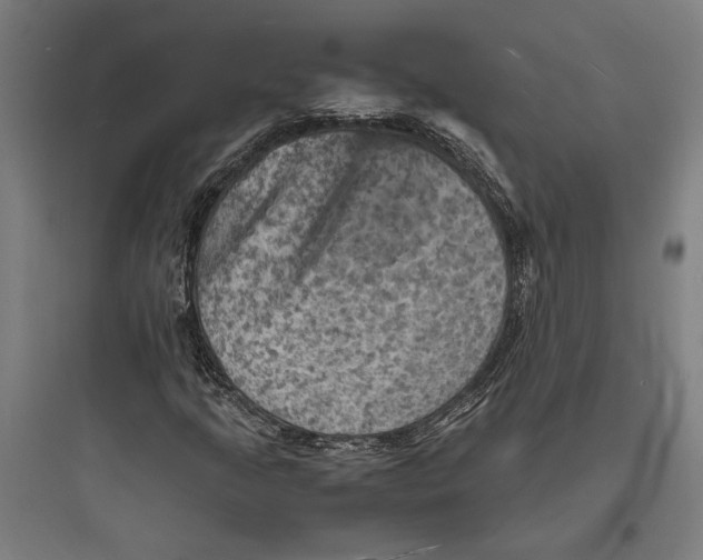 X0000093731205200711060953